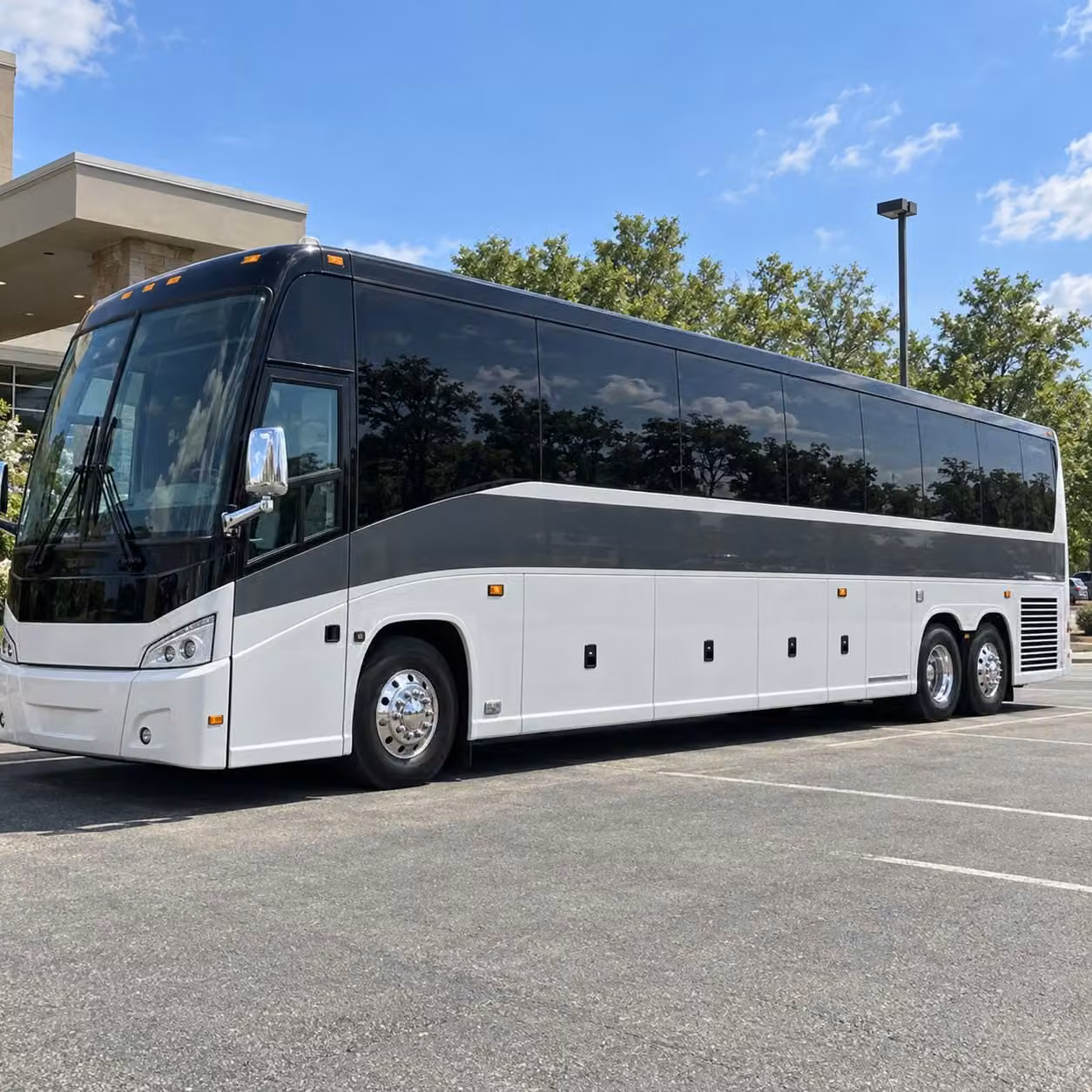 history and cultural field trips across the rio grande valley