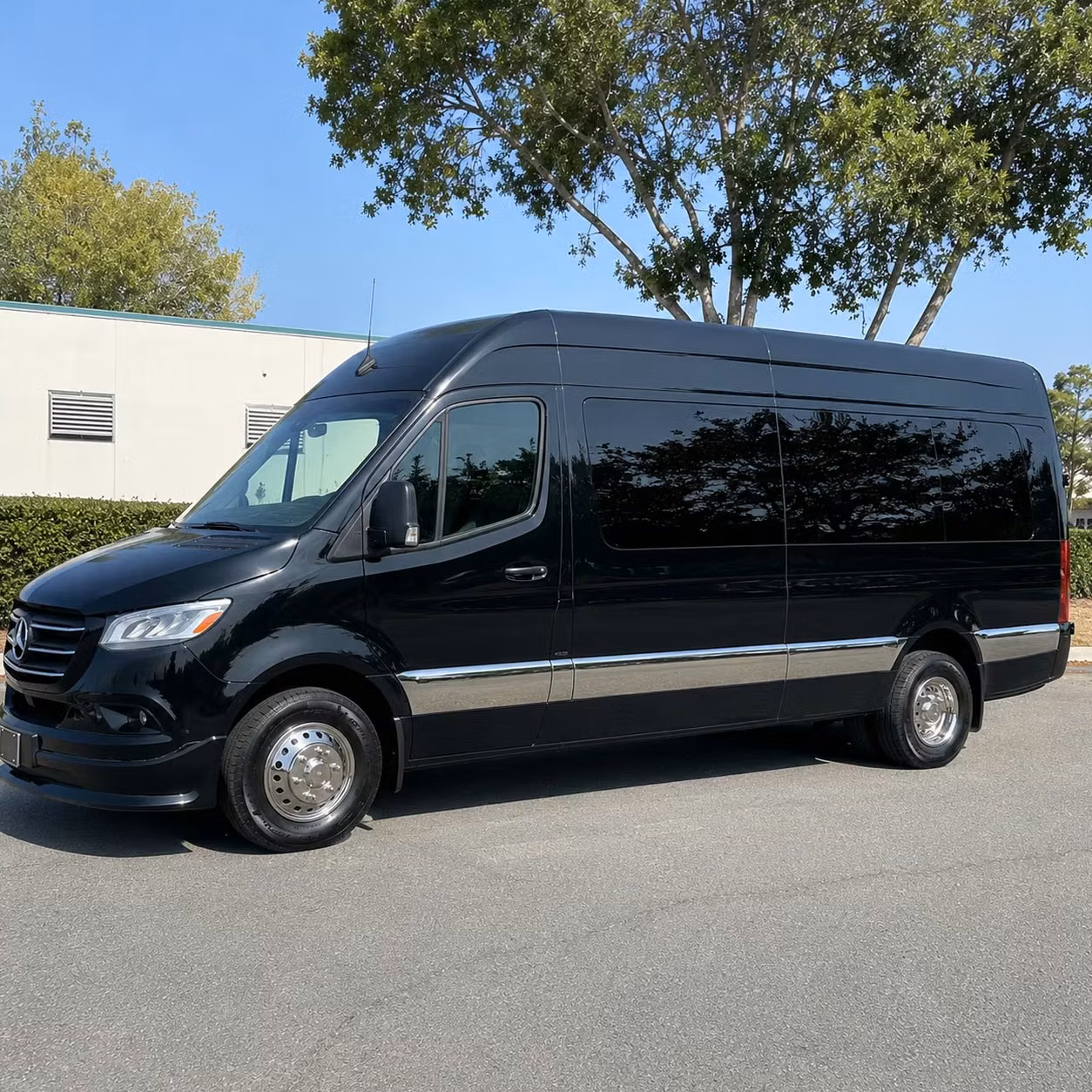 mcallen corporate transportation services